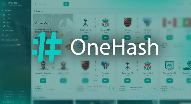 OneHash review image